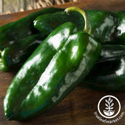 Pepper Seeds - Hot - Poblano Ancho Grande