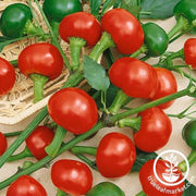 Pepper Seeds - Hot - Basket Hot Hybrid