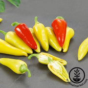 Pepper Seeds - Hot - Dancing Spirits Hybrid