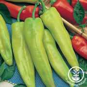 Pepper Seeds - Hot - Geronimo Hybrid