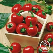 Pepper Seeds - Hot - Large Red Cherry Hot