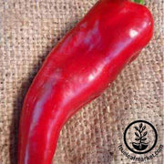 Pepper Seeds - Sweet - Marconi Red