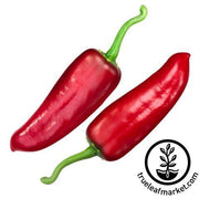 Pepper Seeds - Hot - NuMex Joe E Parker