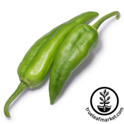 Pepper Seeds - Hot - NuMex Sandia