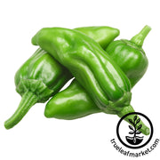 Pepper Seeds - Sweet - Pepperoncini Italian