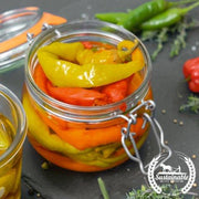 Pepper Seeds - Sweet - Pepperoncini Greek Golden (Organic)