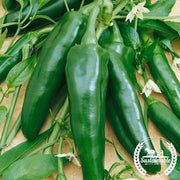 Pepper Seeds - Sweet - Pepperoncini Italian (Organic)