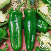 Pepper Seeds - Sweet - Pepperoncini Pickling Hybrid