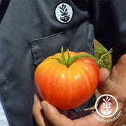 Tomato Seeds - Slicing - Pineapple