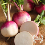 Turnip Seeds - Purple Top White Globe (Organic)