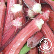 Okra Seeds - Red Burgundy