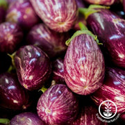 Eggplant Seeds - Pandora Striped Rose