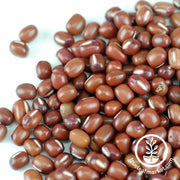 Adzuki Bean - Organic - Sprouting Seeds