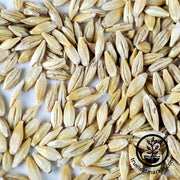 Barley (Organic) - Bulk Grains & Foods