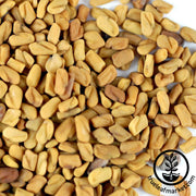 Fenugreek (Organic) - Herb Seeds