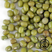 Mung Bean - Organic - Sprouting Seeds