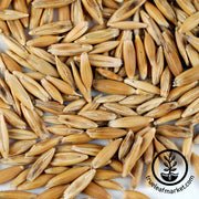 Whole Oats (Organic) - Bulk Grains & Foods