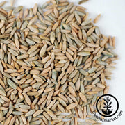 Winter Rye - Cover Crop Seeds