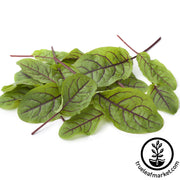 Sorrel Seeds - Red Veined