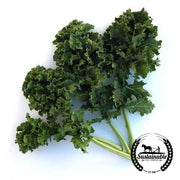 Kale Seeds - Dwarf Siberian - Organic