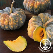 Squash Seeds - Chirimen