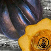 Squash Seeds - Ebony Acorn