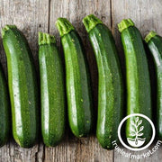 Squash Seeds - Summer - Diamant F1 Zucchini