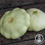 Squash Seeds - Summer - Early White Bush Scallop