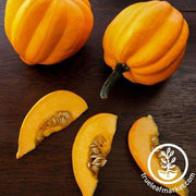 Squash Seeds - Table Gold