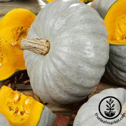 Squash Seeds - Winter - Sweet Keeper