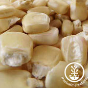 Corn Seeds - Dent - Boone County White