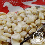 Corn Seeds - Dent - Eureka Ensilage