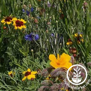 Wildflower Seeds - Southeast Mix