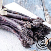 Asparagus Seeds - Sweet Purple