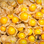 Tomatillo Seeds - Cape Gooseberry - Large Fruit - Grown