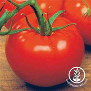 Tomato Seeds - Slicing - Ace 55 VF