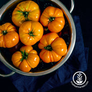 Tomato Seeds - Slicing - Amana Orange