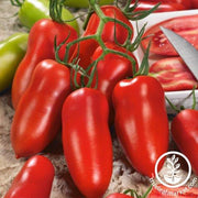 Tomato Seeds - Paste - Andiamo Hybrid