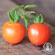 Tomato Seeds - Cherry - Baxter's Early Bush