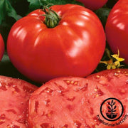 Tomato Seeds - Slicing - Beefsteak Determinate