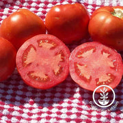 Tomato Seeds - Slicing - Beefsteak