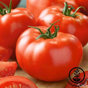 Tomato Seeds - Slicing - Brandymaster Red Hybrid - Grown