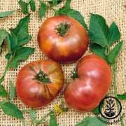 Tomato Seeds - Slicing - Brandywine Black Regular Leaf