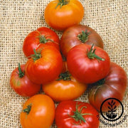 Tomato Seeds - Slicing - Brandywine Blend