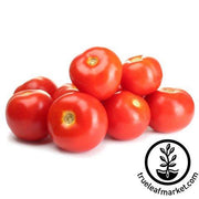 Tomato Seeds - Slicing - Burgundy Traveler