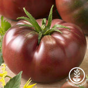 Tomato Seeds - Slicing - Chef's Choice Black Hybrid AAS