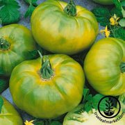 Tomato Seeds - Slicing - Chef's Choice Green Hybrid AAS