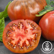 Tomato Seeds - Slicing - Chef's Choice Purple Hybrid