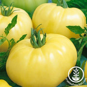 Tomato Seeds - Slicing - Chef's Choice White Hybrid