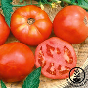 Tomato Seeds -Slicing - Cherokee